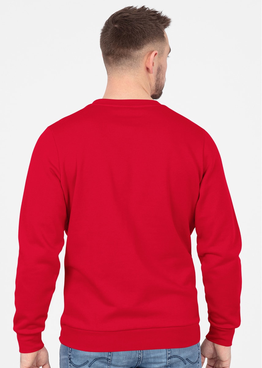 Sweater Organic